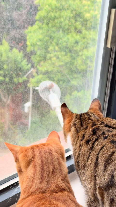 苏醒了，猎杀时刻