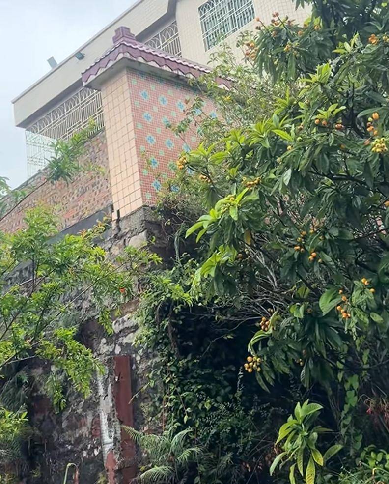 丞磊广东老家曝光，家境朴实无华，走红后依旧低调内敛_卢昱晓_房子_角色
