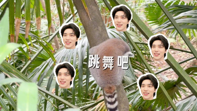 45 动物园里有什么： 初夏加载中