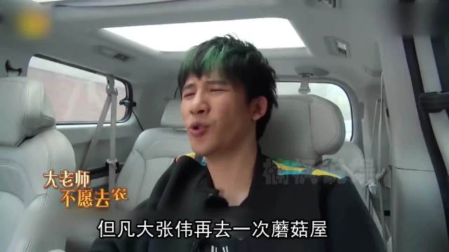 大张伟就是黄磊的克星吧，两句话戳穿了大厨人设，难怪只录了一次