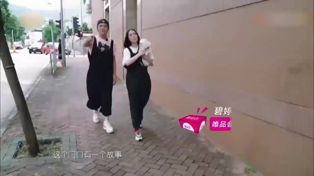 向佐当郭碧婷的面疯狂聊前女友，向太都听不下去，一根筋
