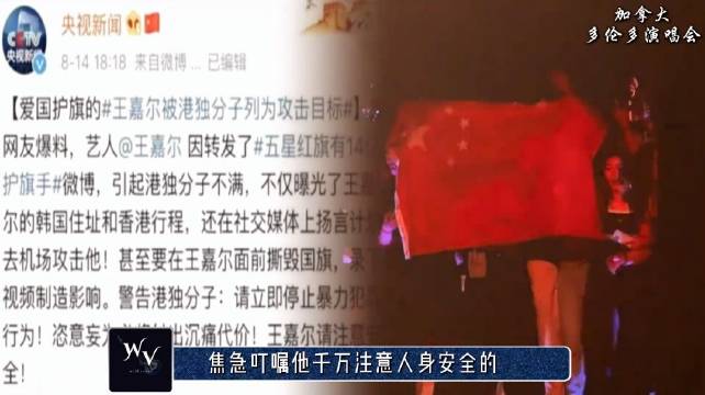 王嘉尔：事业扎根海外，硬刚西方舆论，守家国立场被央视暖心牵挂