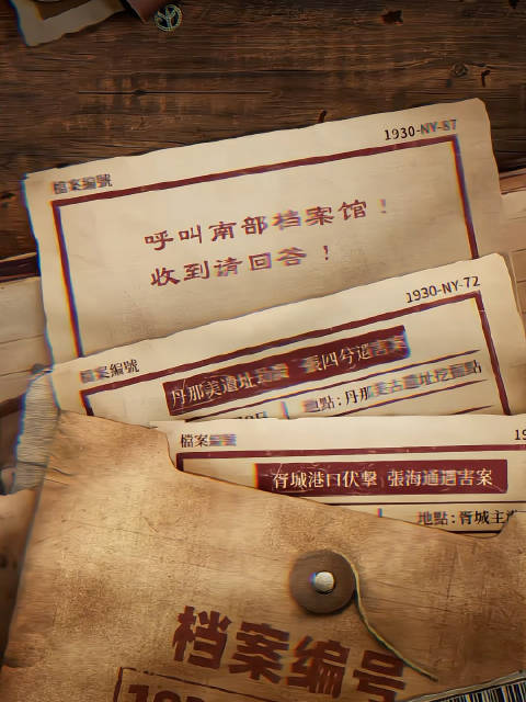 南风档案揭秘丁禹兮张海侠传奇