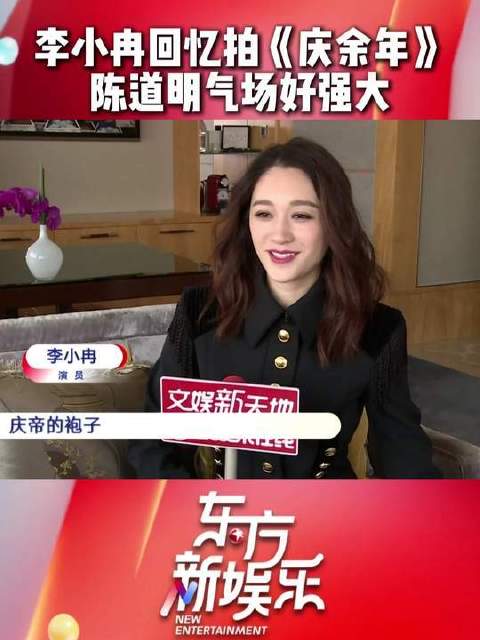 李小冉谈与陈道明对戏压力大，对方仅评价还行