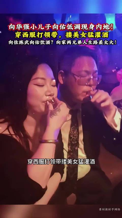 向佐踏实拼搏事业,向佑酒吧躺平度日