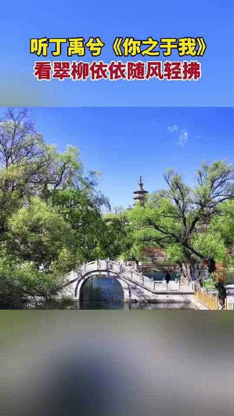 丁禹兮献唱保定拒马源，碧水翠柳共绘夏日美景