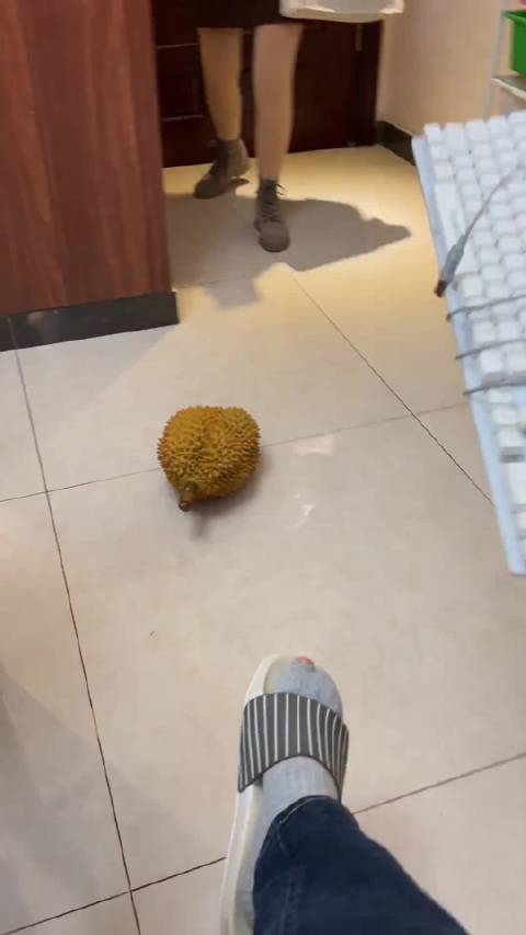 小马哥小马嫂夫妇的作品
