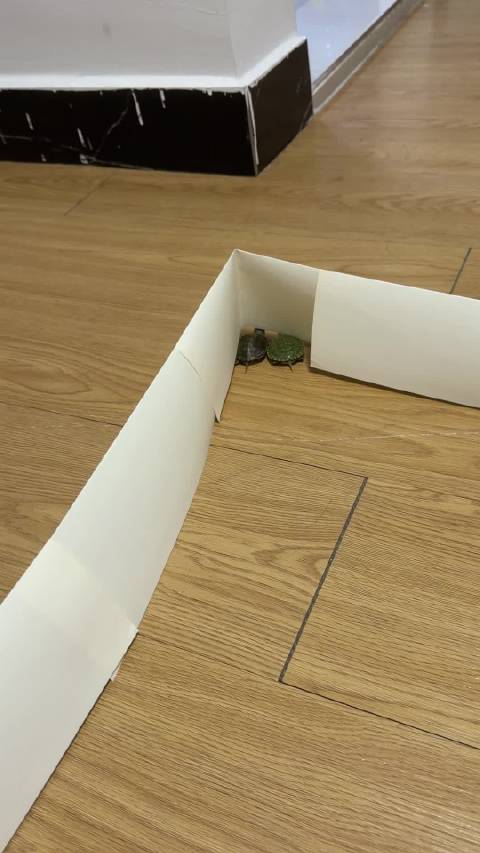 越狱