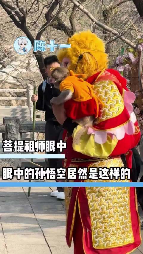 菩提祖师眼中的孙悟空居然是这样的 猴子 菩提老祖和孙悟空