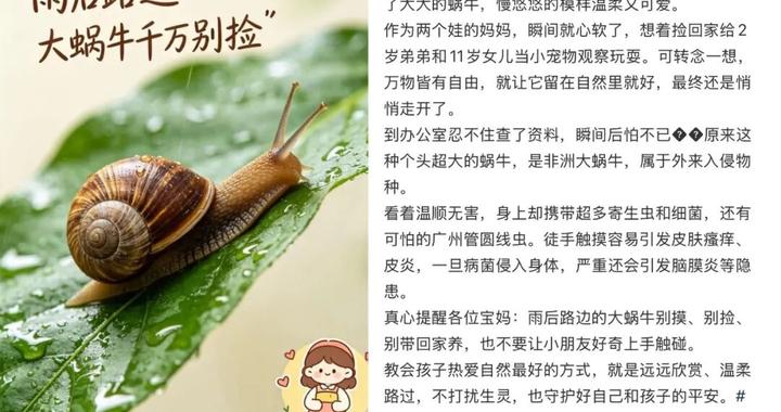 千万别碰！它携带大量寄生虫！近期多地出现
