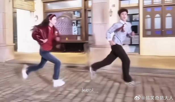 豹豹猫猫一直走花路