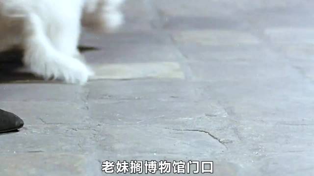 神偷用红酒破解红外激光报警器