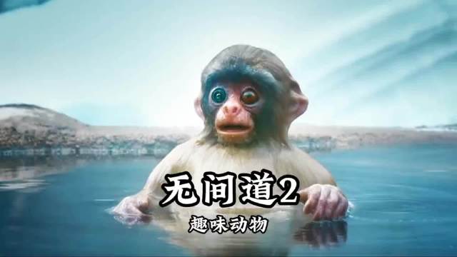 《完整版续集》当摄像机披上马甲，你才知道他们无间道玩的多溜