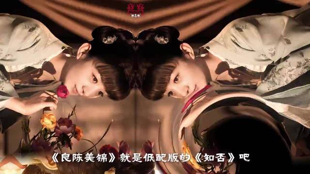 良陈美锦像低配版知否，姨娘格局差距一目了然， 此沙x任敏