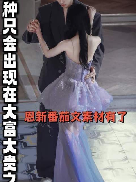 小新撒金币回应老婆爱钱，番茄豪门文灵感引热议