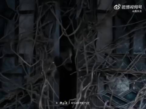 刘诗诗民国造型清丽素雅，新剧凌汶角色引期待