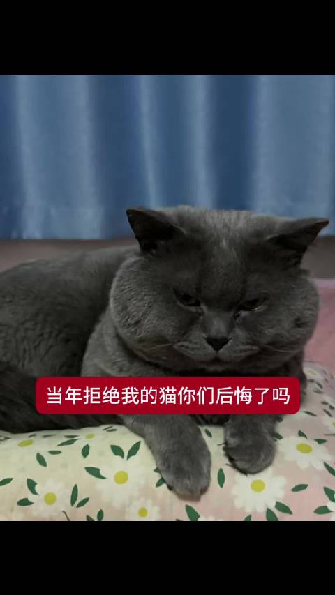 团团仔仔成长日记