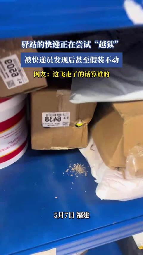 驿站快递尝试越狱被快递员发现后装不动