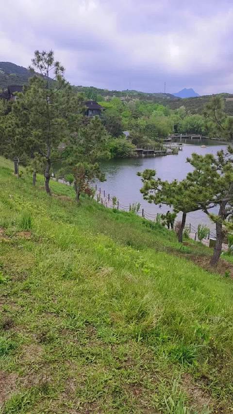 诗歌《此生，唯你》诠释深情相伴