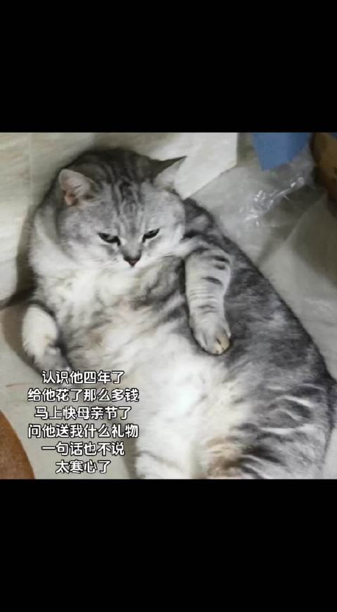 太寒心了