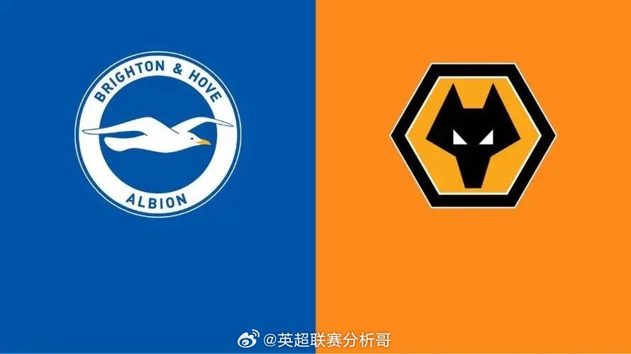 英超布莱顿迎战狼队冲击欧战
