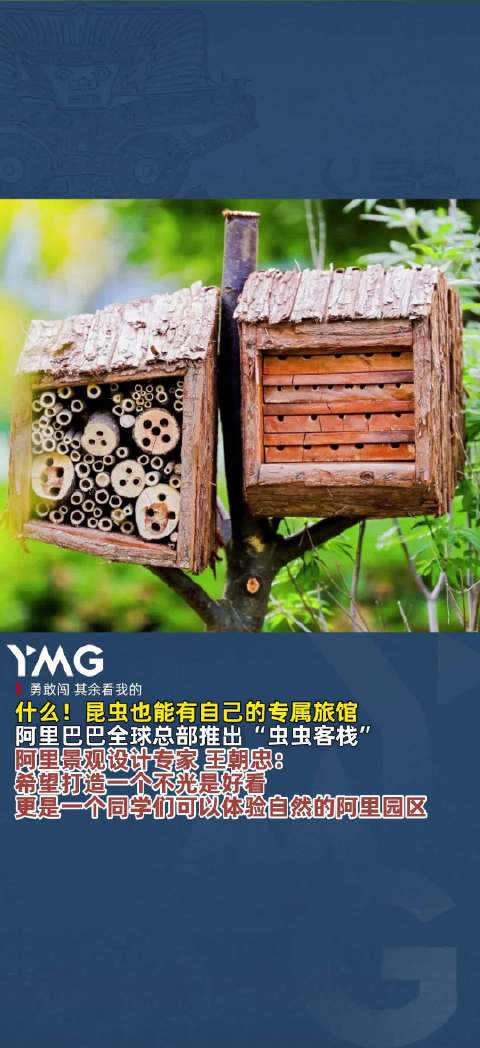 阿里巴巴全球总部推出昆虫旅馆虫虫客栈