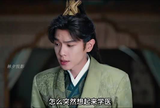 庆余年2:范若若着手学医术，林婉儿亲自秀鸳鸯. 主演：张若昀x陈道明x李小冉