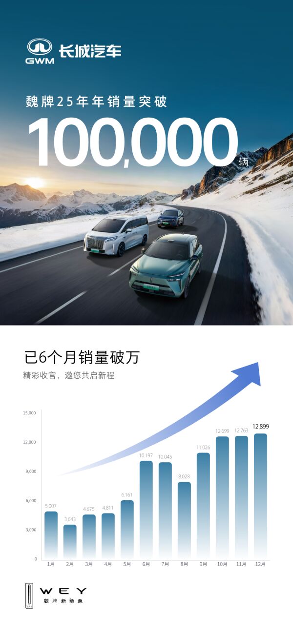 中国豪华车新标准?魏牌2025“量价齐升”背后的故事
