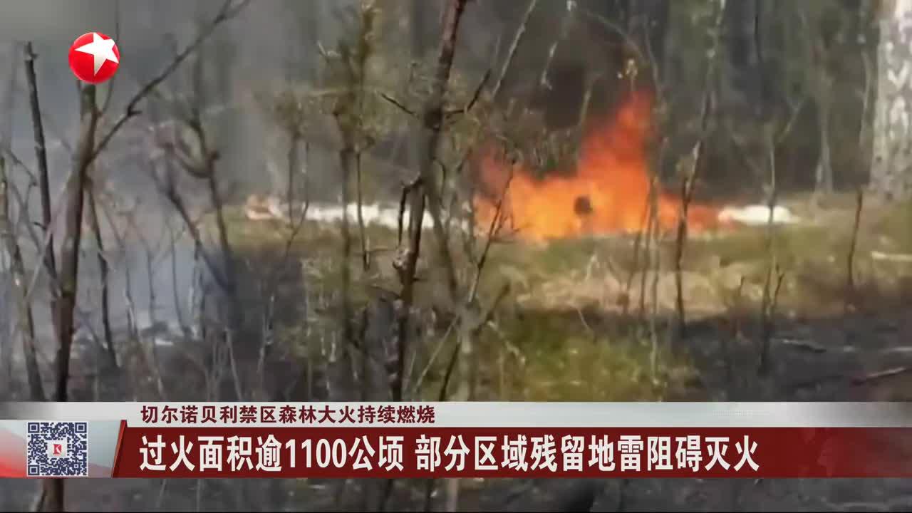 切尔诺贝利禁区森林大火持续燃烧 过火面积逾1100公顷 部分区域残留地雷阻碍灭火