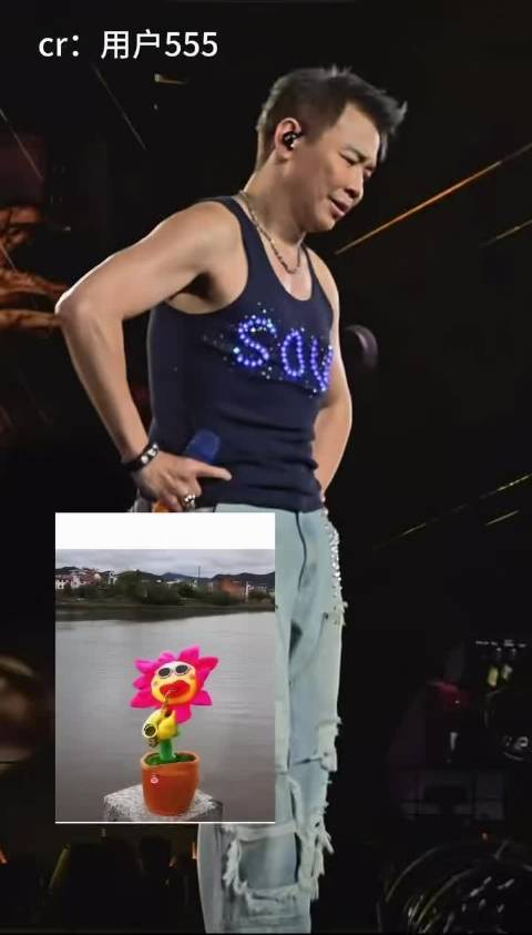 陶喆重庆演唱会扭秧歌被比妖娆太阳花