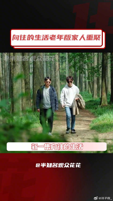 向往的生活第七季 黄磊 情感 微博VC计划