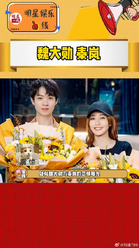 秦岚 疑似恋情曝光，男未婚女未嫁有何不可？坐等一波后应啦