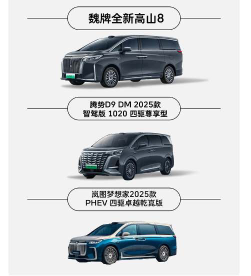 国产豪华MPV市场迎来新格局 魏牌全新高山5月13日正式上市_汽车