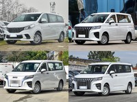 上汽大通MAXUS G10 2024款 2.0L 手动多功能旅行版 CNG 9座