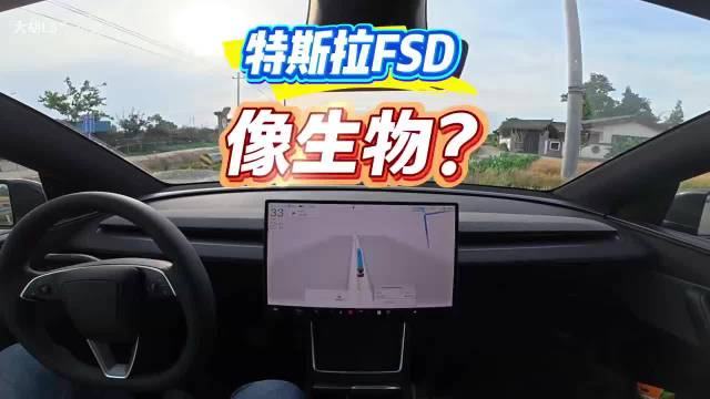 特斯拉FSD v14将8月推送，仍无倒车功能