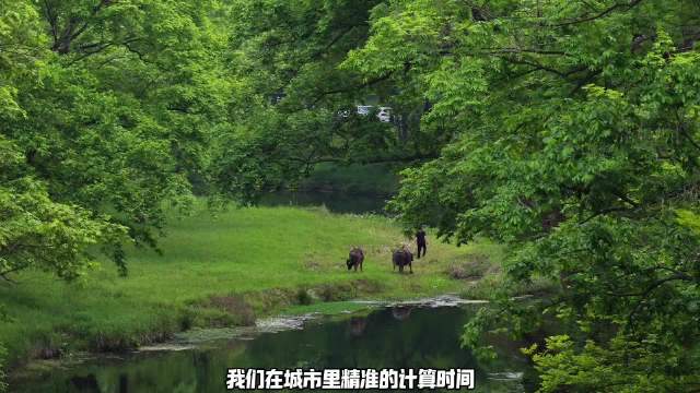 百车自驾游新县，文旅赋能乡村振兴