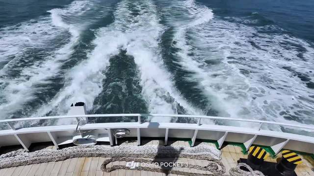 东极岛小岛日记｜把日子过成治愈系海岛诗