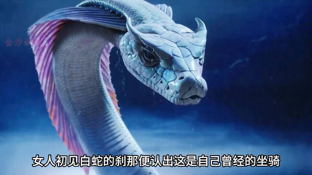 女人一眼就认出白蛇是自己曾经的坐骑