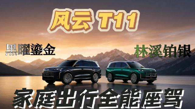 风云T11以亲民价格打造家用SUV，空间续航配置全面