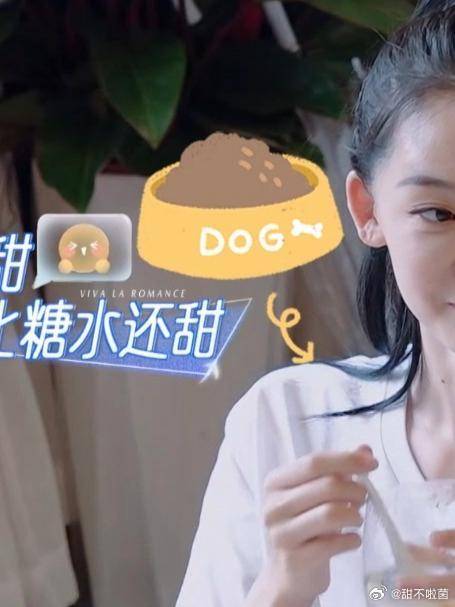曾伟昌不接受姐弟恋，却和大他9岁的陈乔恩结婚，苗苗磕疯了