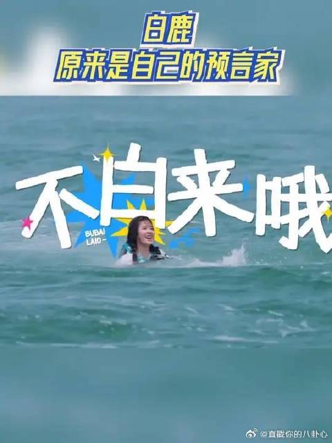 白鹿原来是自己的预言家