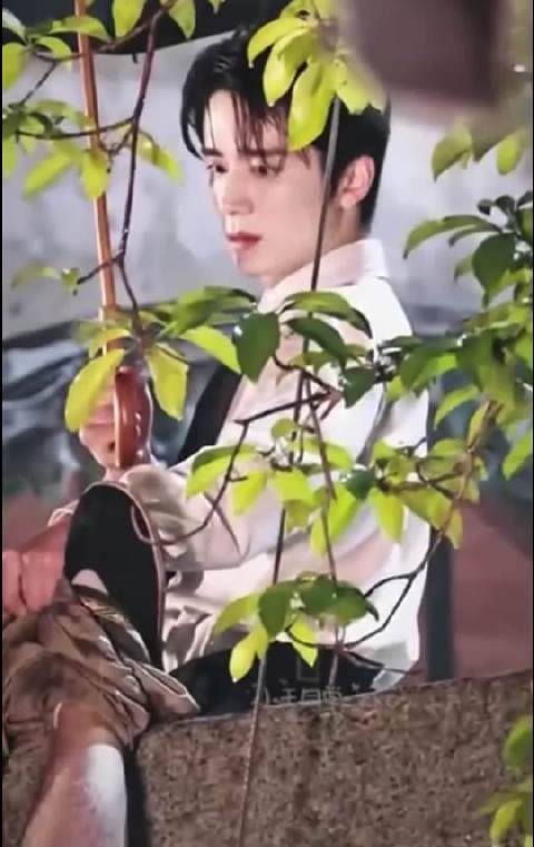 张新成丁禹兮新剧路透曝光，对视画面引镇魂CP回忆