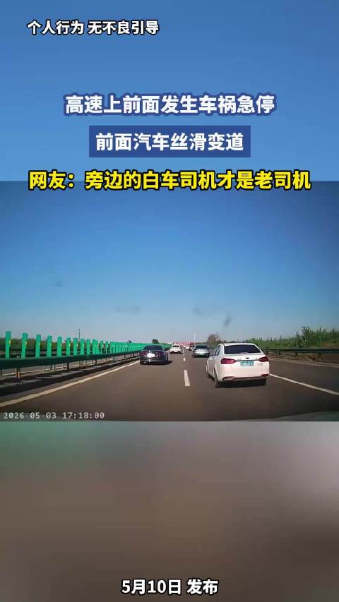 高速上前面发生车祸急停，前面汽车丝滑变道，网友：旁边的白车司机才是老司机