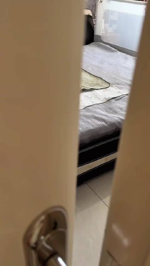 两个儿子，不同品种而已！下午茶吃的居然是榴莲 狗狗辣辣狗生好幸福！