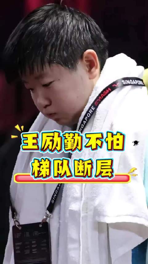 王励勤担忧樊振东孙颖莎王楚钦退出