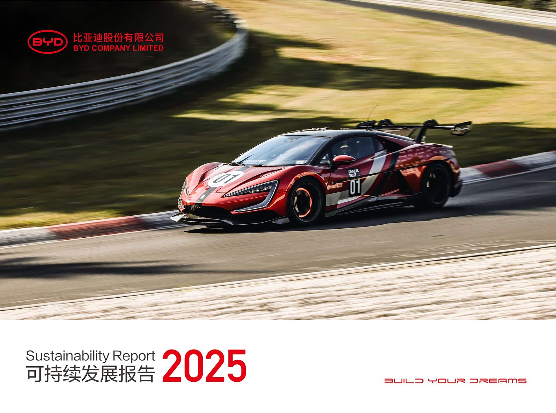 比亚迪2025年可持续发展报告来了!各领域均有大进步!