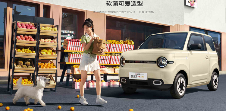 吉利熊猫 MINI:微型车中的实力担当