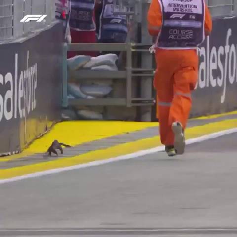 F1赛道上的高速追逐