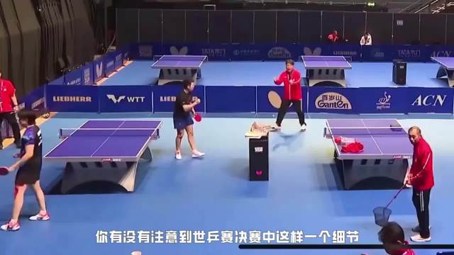 张本智和消极应战致日乒溃败，国乒团结逆转显优势