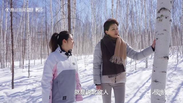 华晨宇蔡徐坤同款取景地曝光，东北漠河白桦林现身纪录片